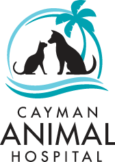 Cayman Animal Hospital