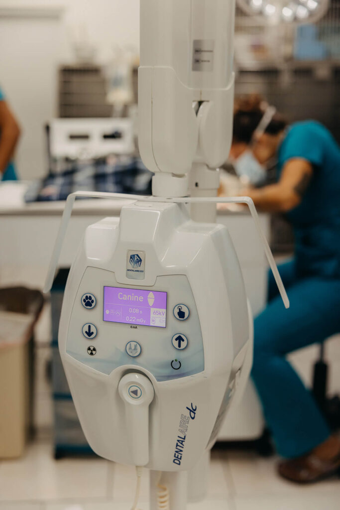 Dental-X-ray-2