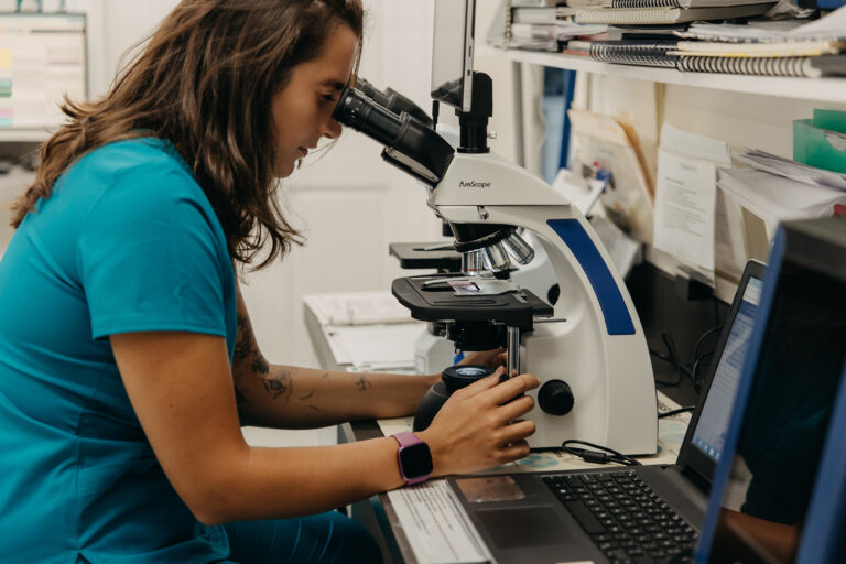 Microscope